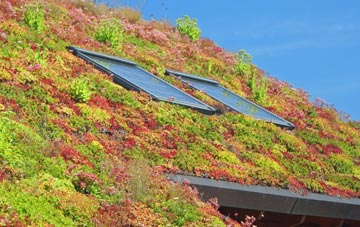 Normanby Le Wold living roof systems